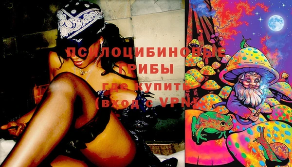 jwh Белокуриха