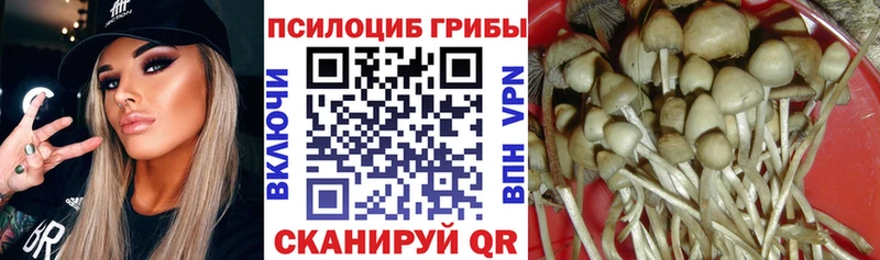 Галлюциногенные грибы мицелий Югорск